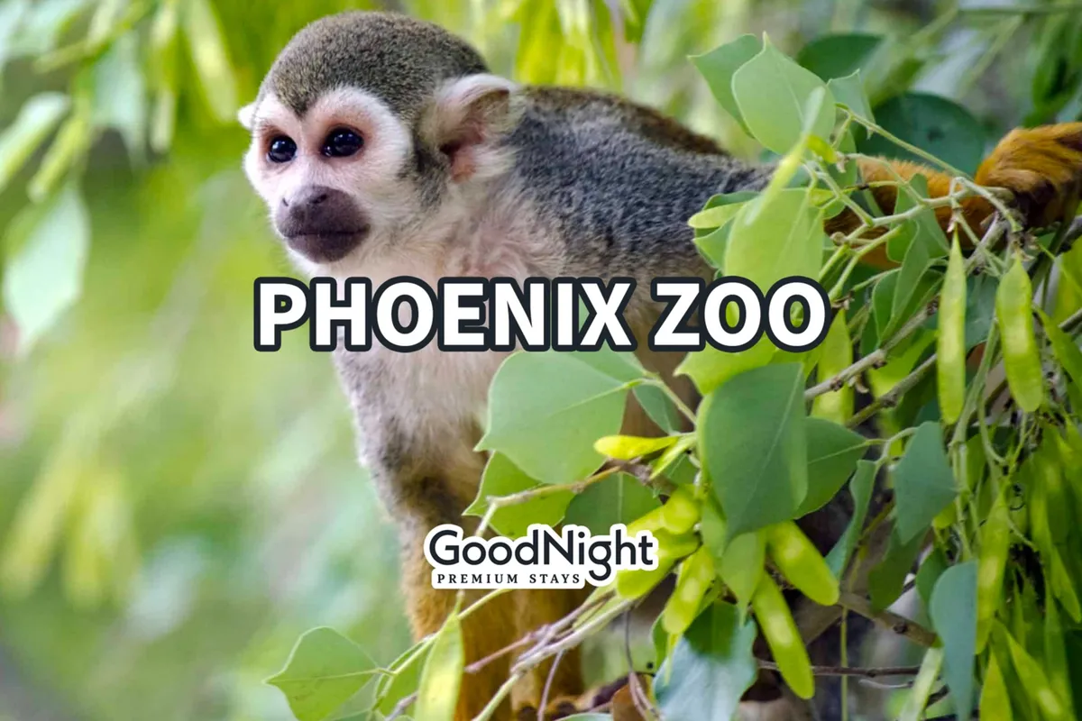 A lively scene at the zoo featuring a squirrel monkey perched among lush green foliage, with a naturalistic zoo environment in the background. The image captures the joy of animal watching and family outings.