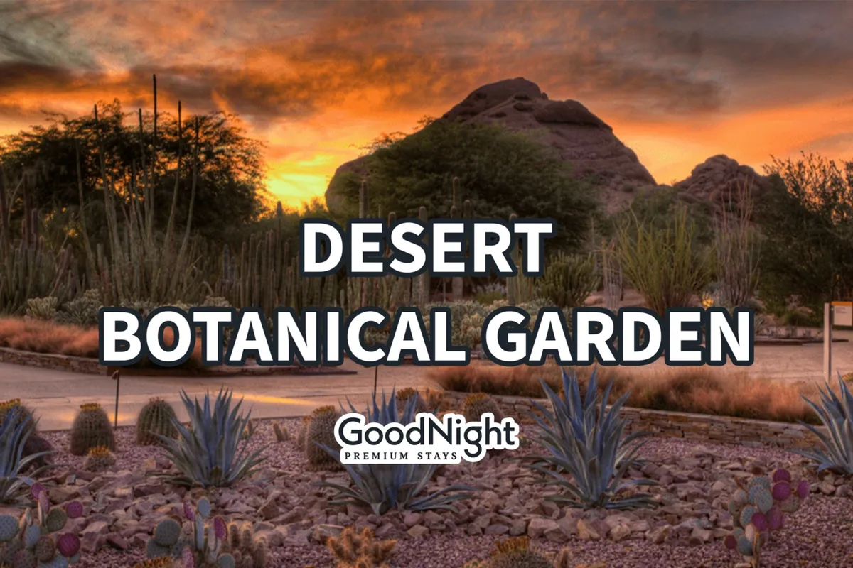 This image captures the exterior of Maya's residential community, featuring natural desert elements like cacti and rock formations, as well as winding decorative pathways. The inviting scenery conveys an approachable yet unique desert setting.