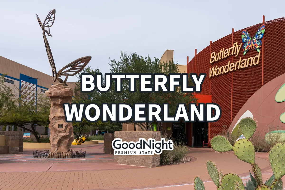 The whimsical entrance to Butterfly Wonderland, featuring a large butterfly sculpture, cacti plants, and the building facade with clear signage. The setting is playful and inviting, perfect for sparking curiosity.